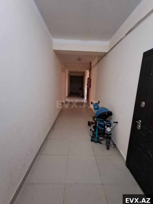 Image 15